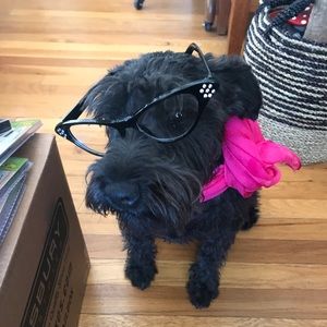 Meet your Posher, Janet